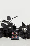 Fioritura Black EDP Kadın Parfüm 50ml | Çiçeksi, Meyveli | Greyfurt, Ananas, Çilek, Yasemin, Misk