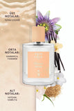 Bolsena Sense EDP Kadın Parfüm Seti 50ml 3 Adet | Çiçeksi | Tutku Çiçeği, Gardenya, Yasemin, Vanilya