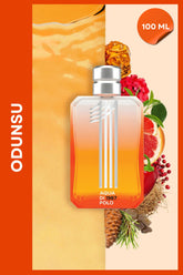 No.1 EDP Erkek Parfüm 100 ml | Odunsu | Biber, Greyfurt, Sedir, Sardunya, Amber, Misk, Vetiver