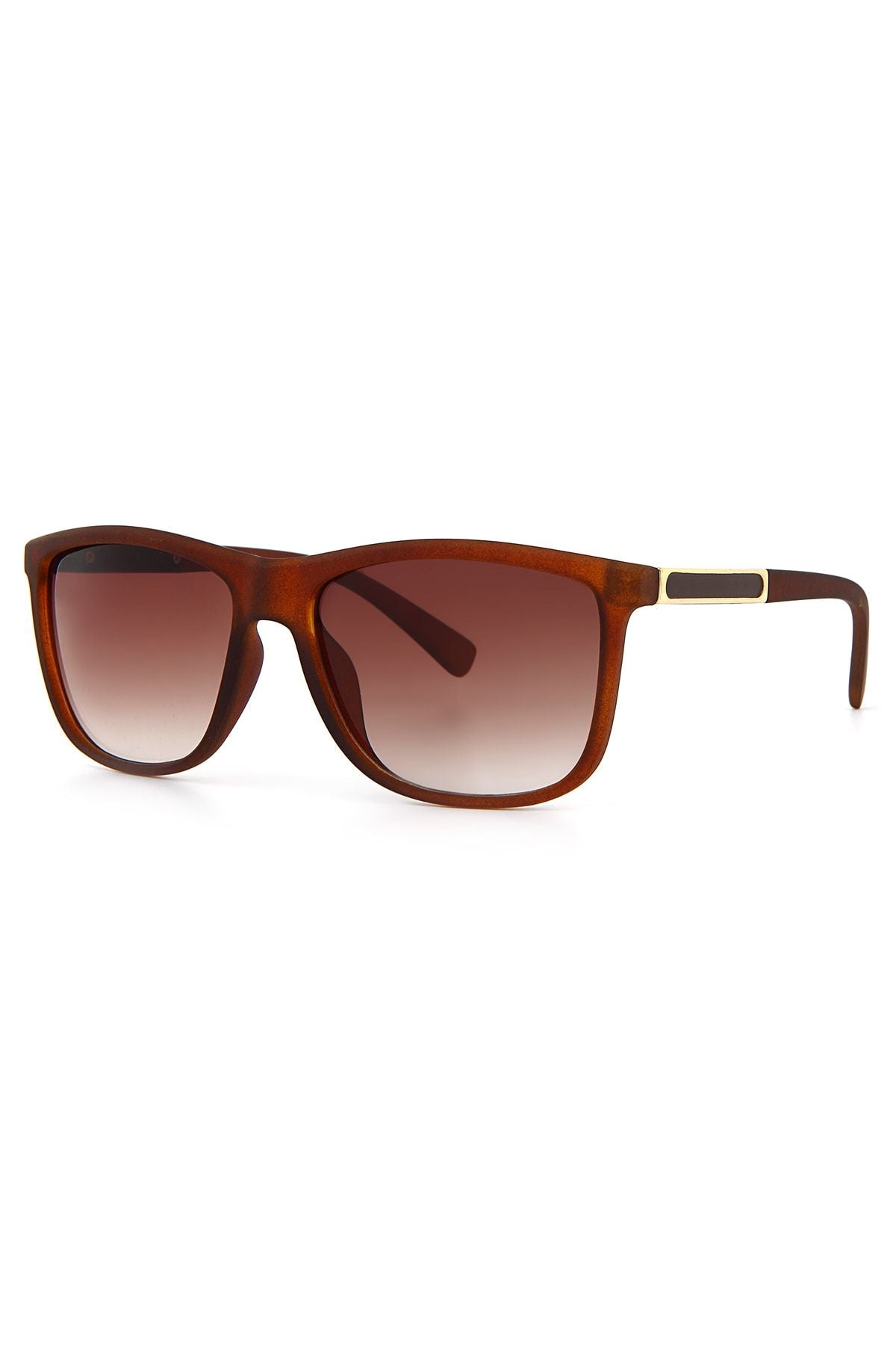 Aqua di Polo Men's Brown UV 400 Protection Sunglasses