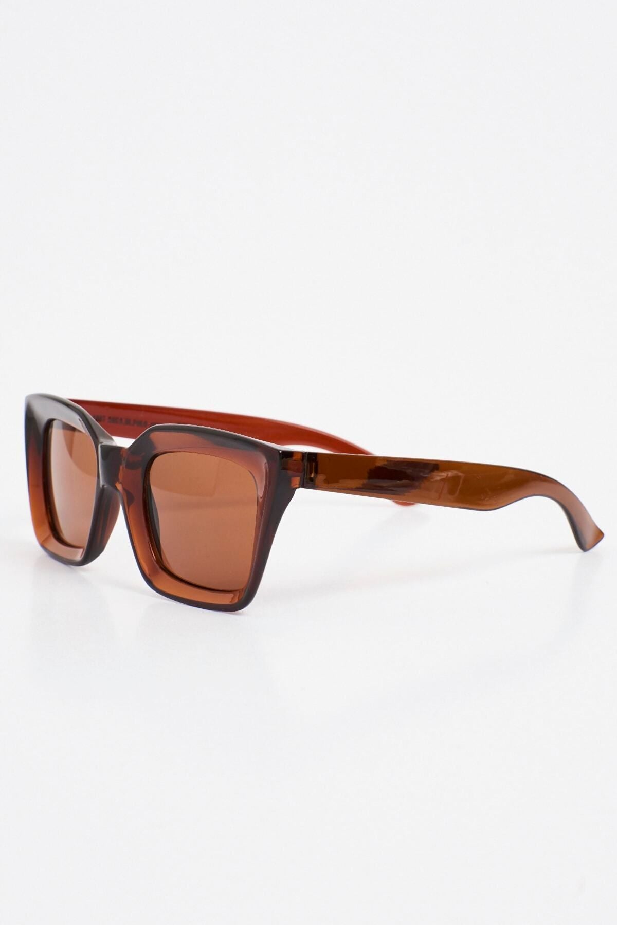 Aqua di Polo 1987 Brown Women's Sunglasses APSN004401