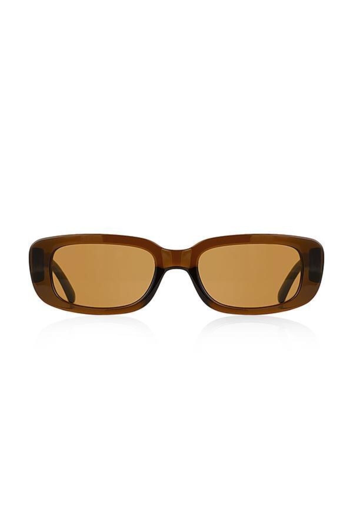 Aqua di Polo 1987 Brown Women's Sunglasses APSI001602