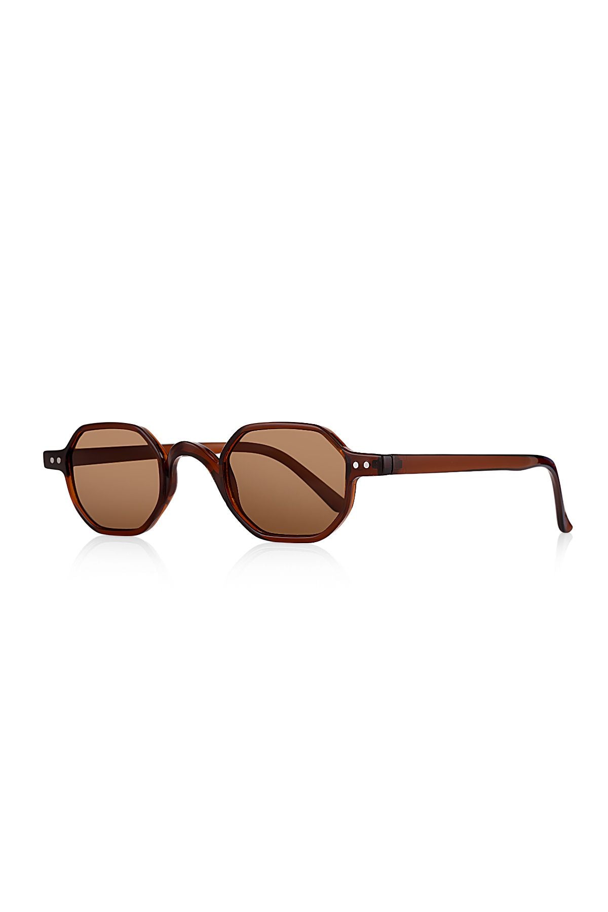 Aqua di Polo 1987 Brown Unisex Sunglasses APSN011102