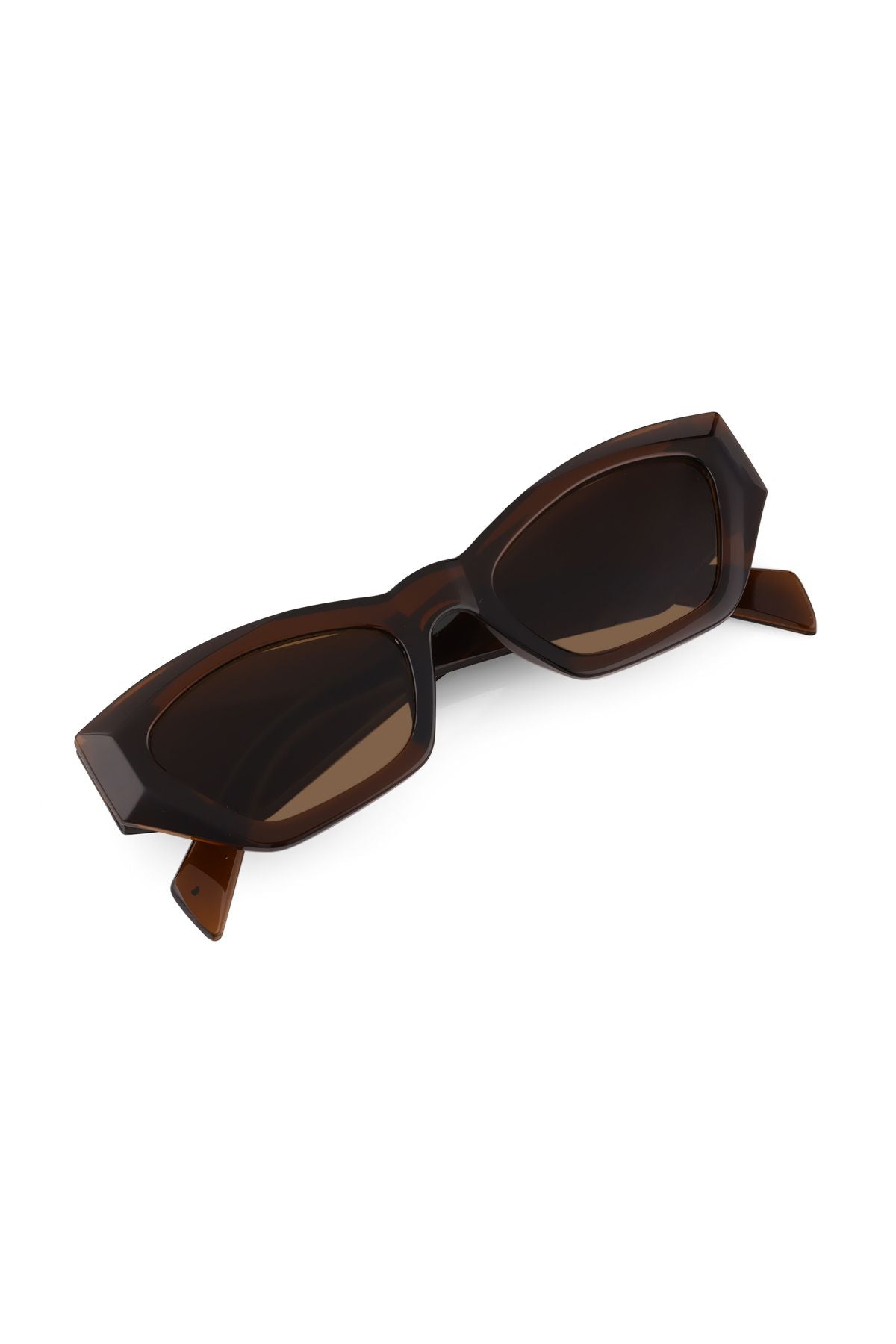 Aqua di Polo 1987 Brown Women's Sunglasses APSN012402