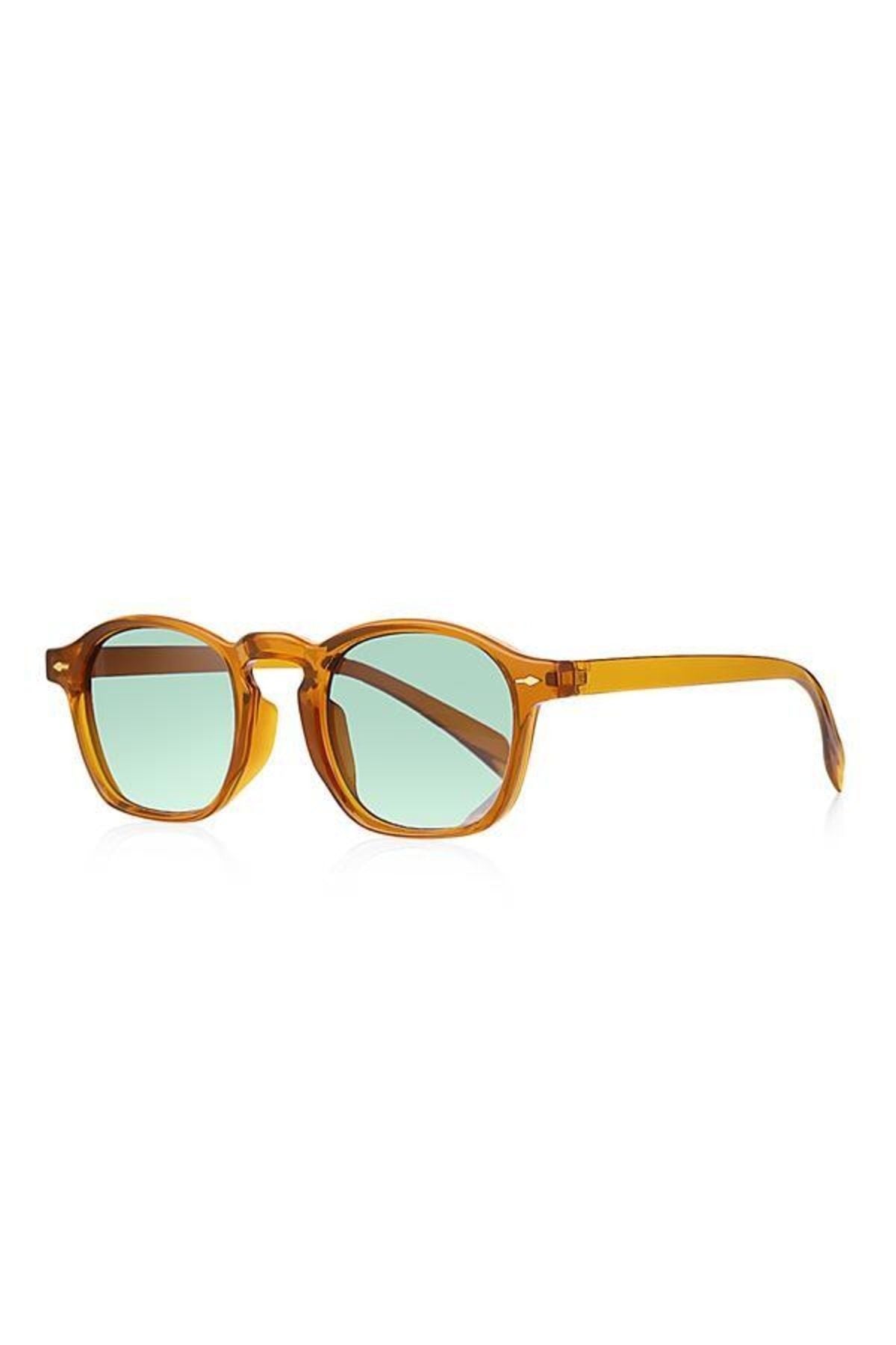 Aqua di Polo 1987 Brown Unisex Sunglasses APSI001304