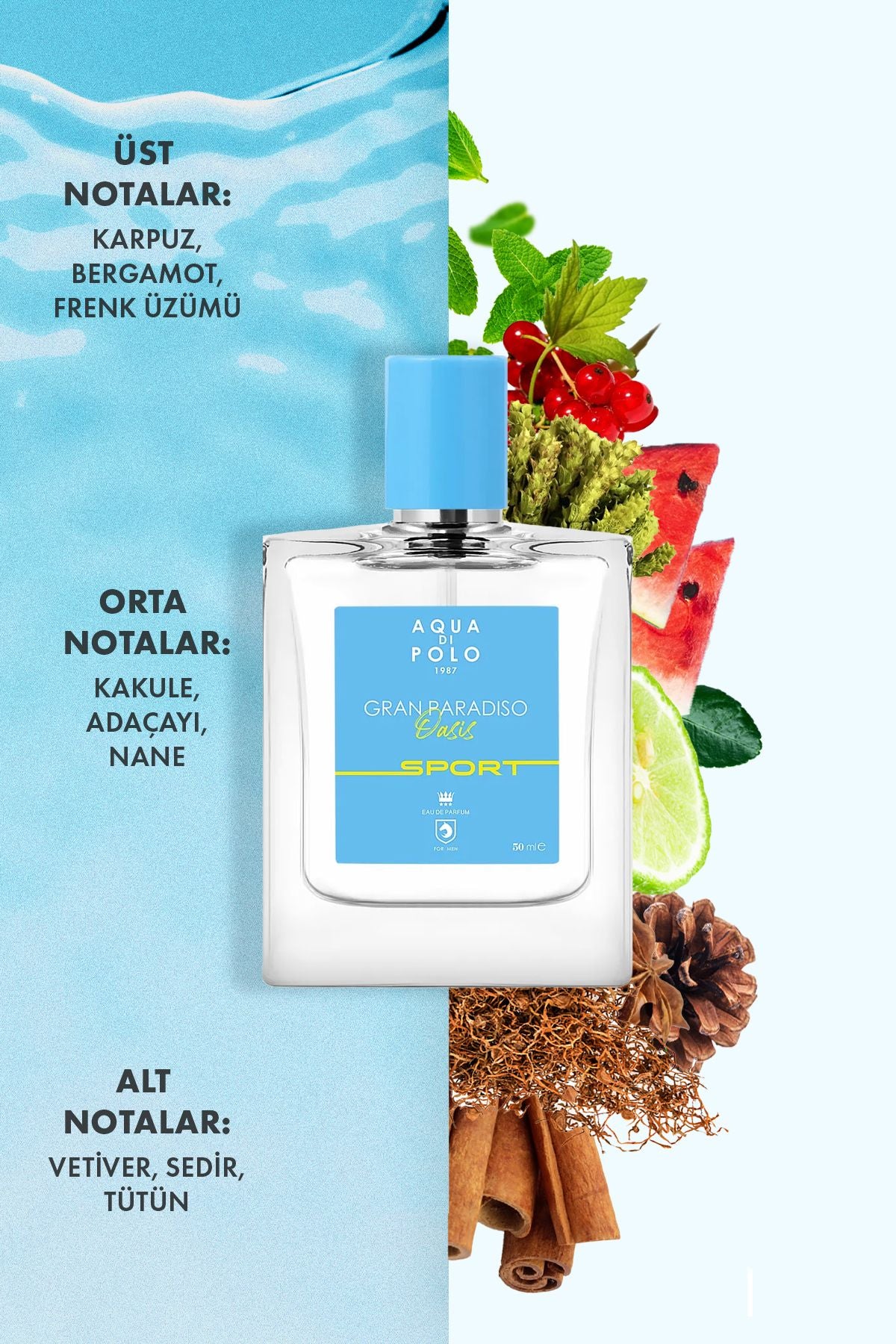 Aqua di Polo 1987 Gran Paradiso Oasis Sport EDP 50 ml Erkek Parfüm APCN000511