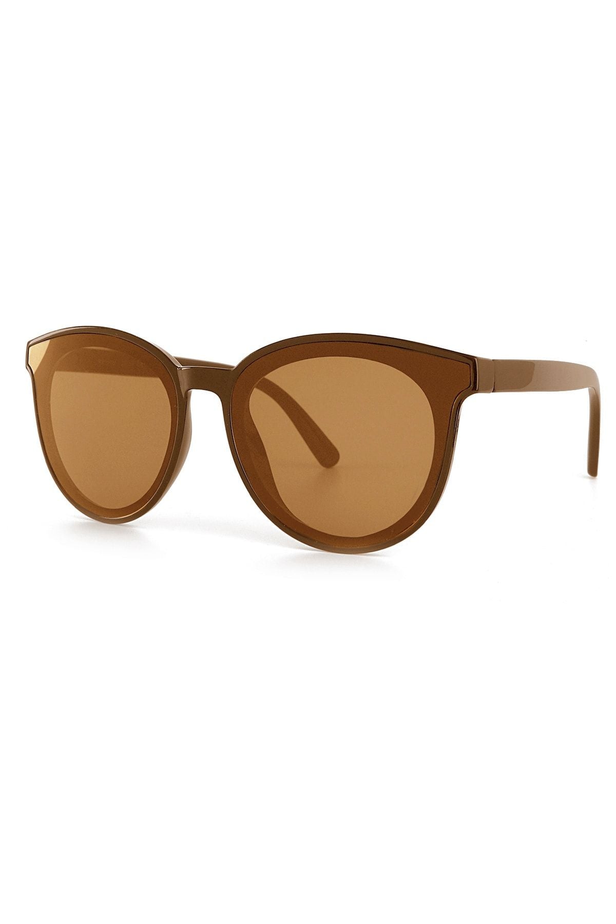 Aqua di Polo 1987 Brown Women's Sunglasses APSN002502