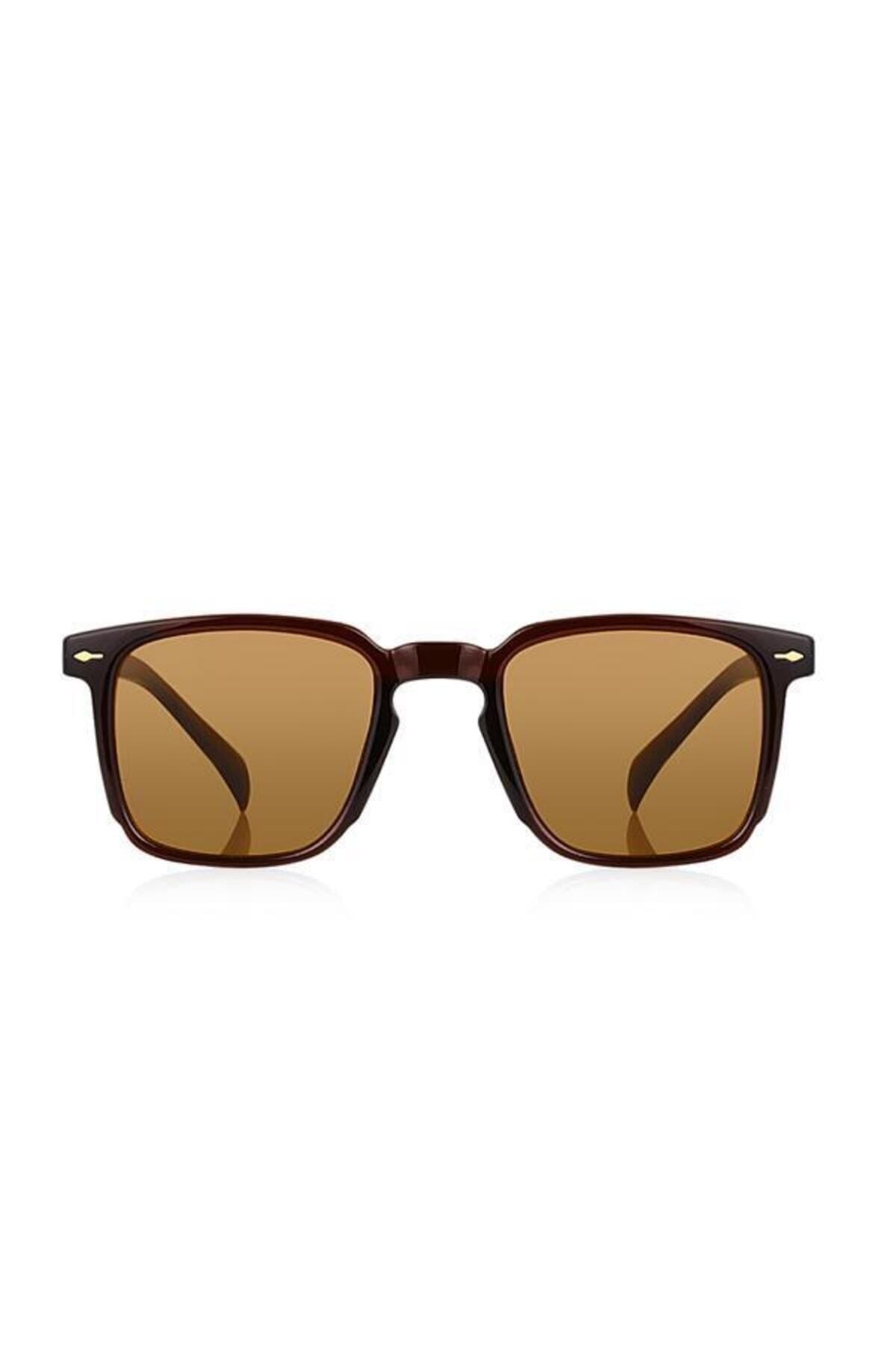 Aqua di Polo 1987 Brown Unisex Sunglasses APSI001907