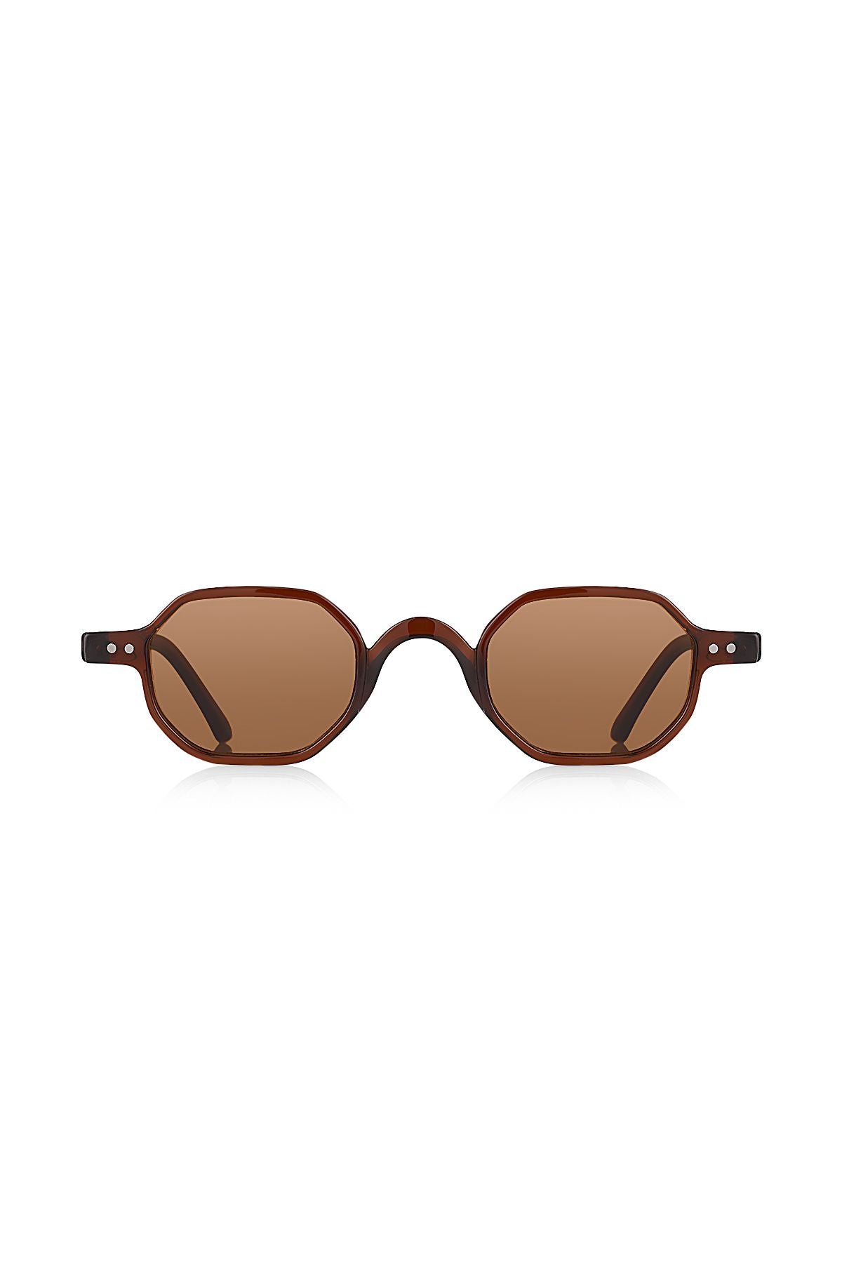 Aqua di Polo 1987 Brown Unisex Sunglasses APSN011102