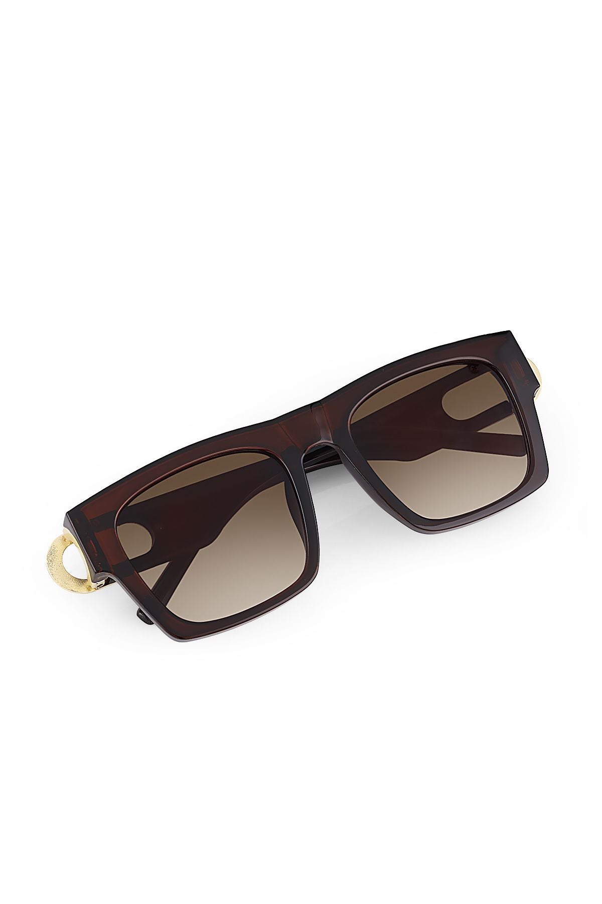 Aqua di Polo 1987 Brown Women's Sunglasses APSU037502