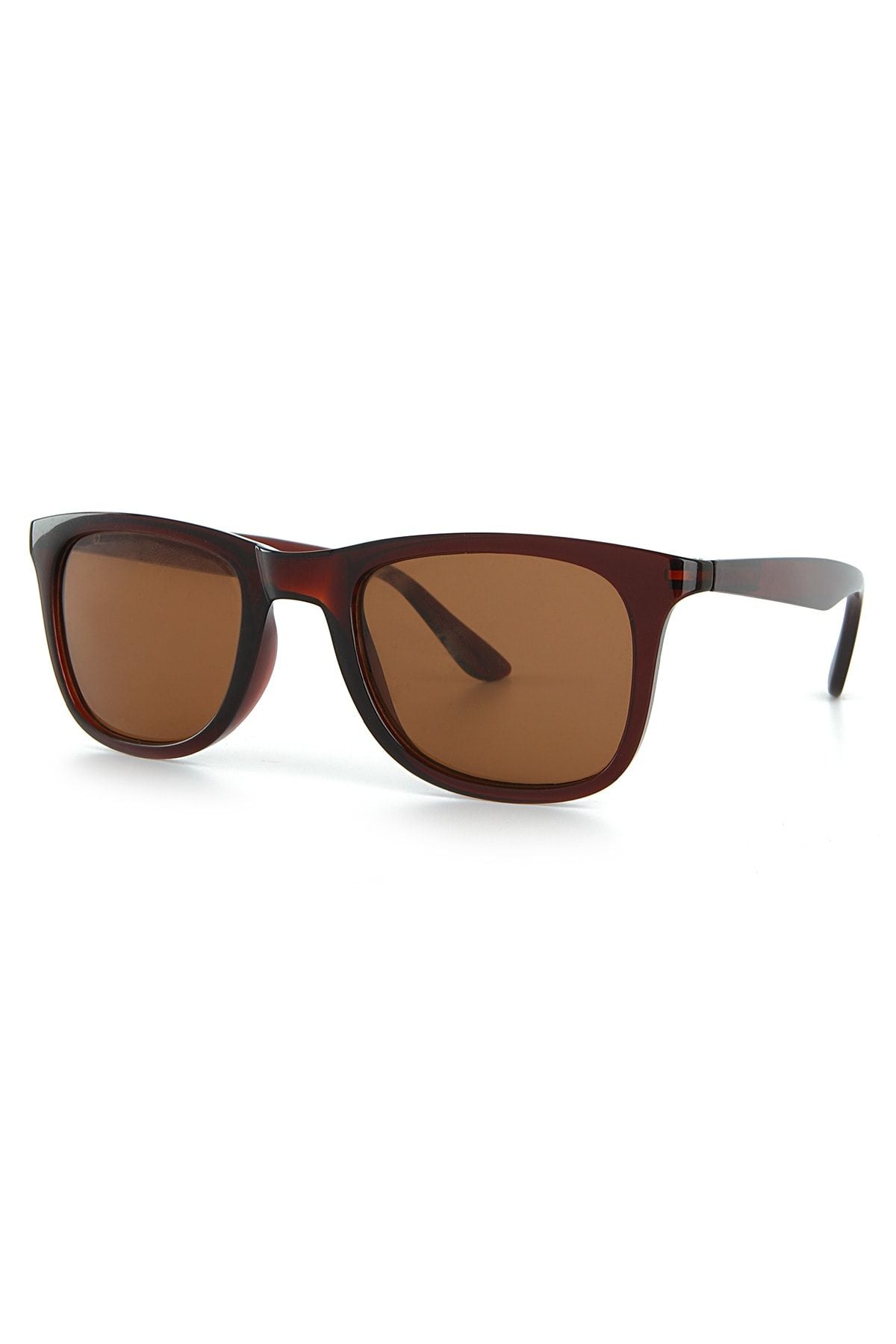 Aqua di Polo 1987 Brown Men's Sunglasses APSN001802