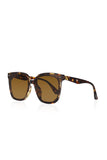 Aqua di Polo 1987 Brown Women's Sunglasses APSI002102