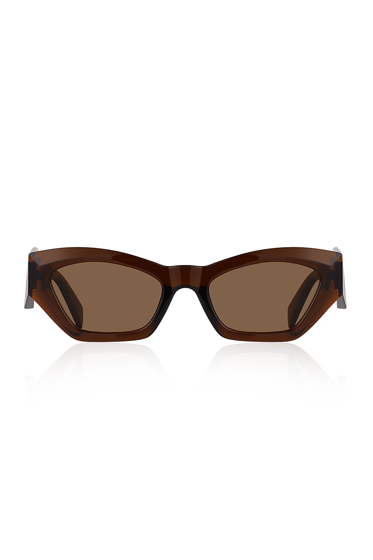 Aqua di Polo 1987 Brown Women's Sunglasses APSN012402