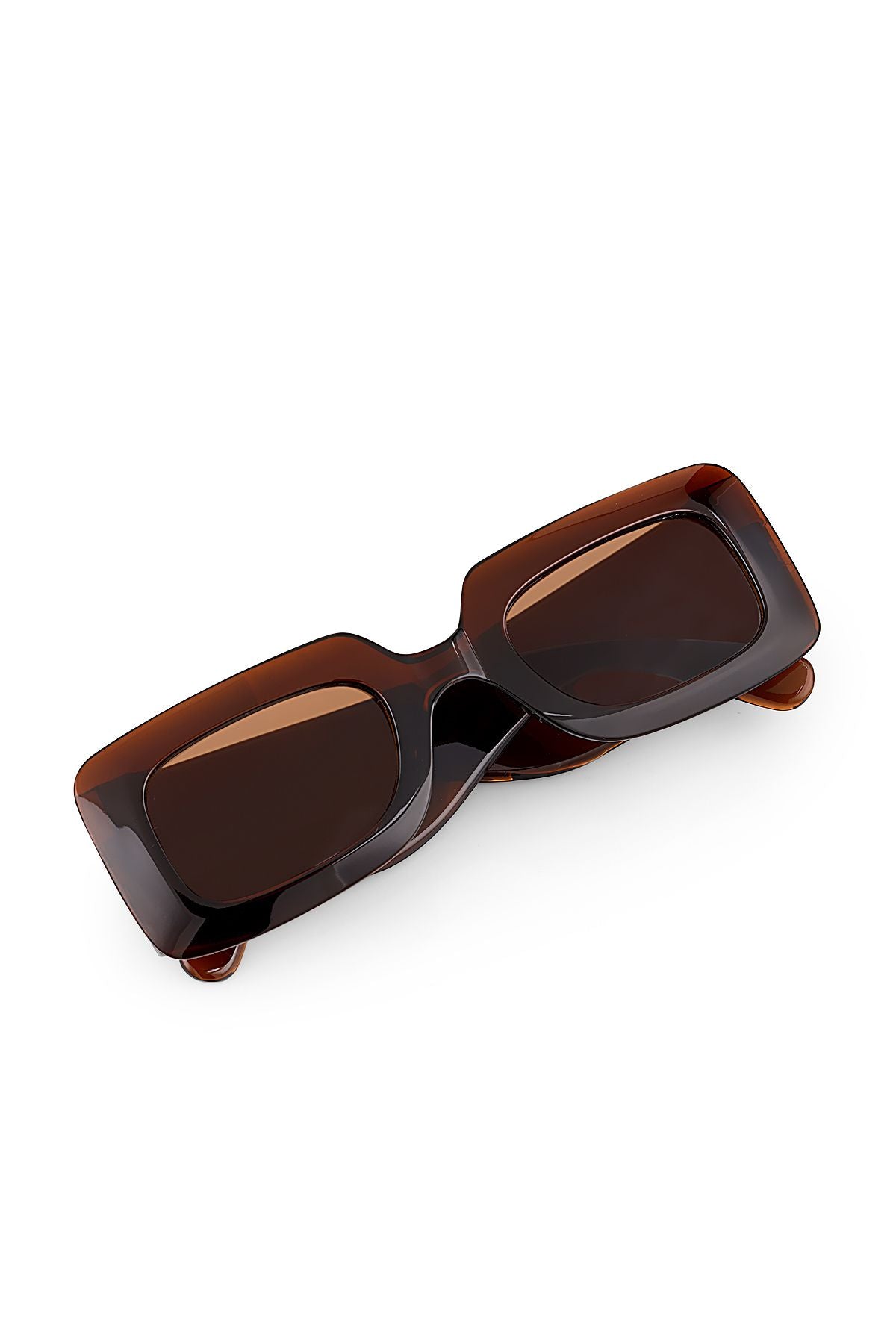 Aqua di Polo 1987 Brown Women's Sunglasses APSN011202