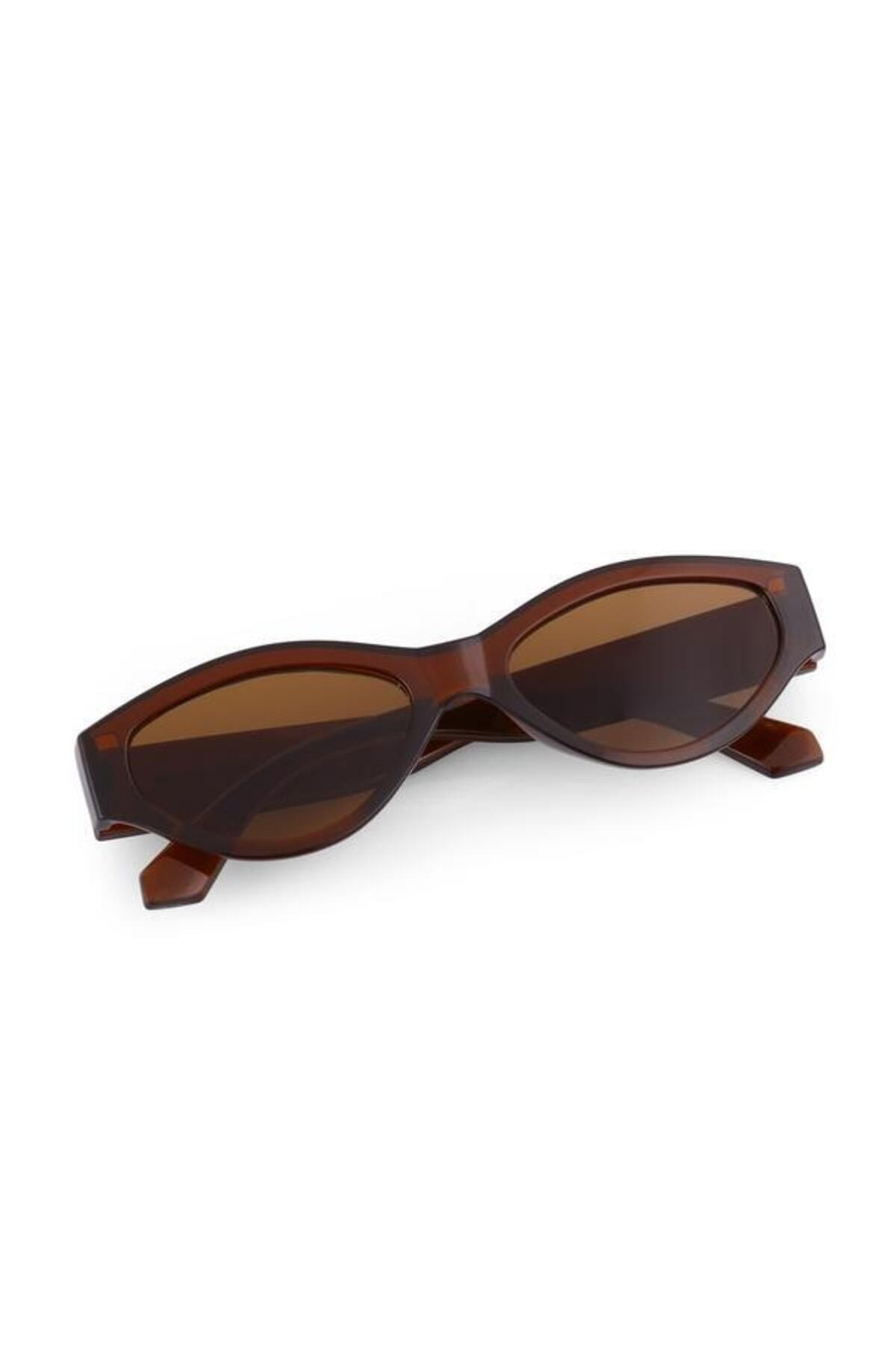 Aqua di Polo 1987 Brown Women's Sunglasses APSN009202