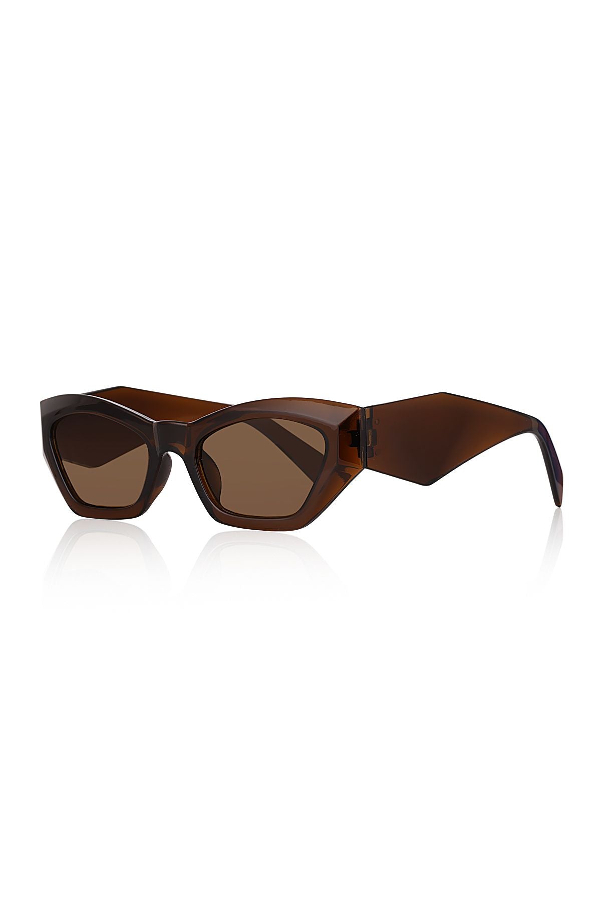 Aqua di Polo 1987 Brown Women's Sunglasses APSN012402