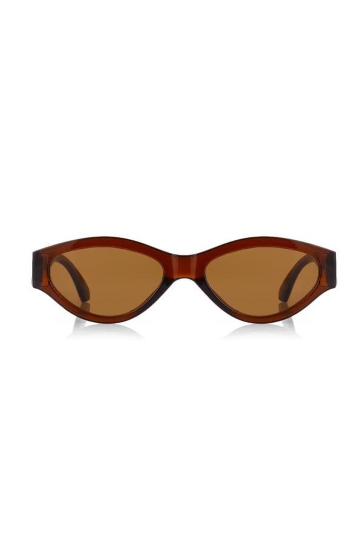 Aqua di Polo 1987 Brown Women's Sunglasses APSN009202