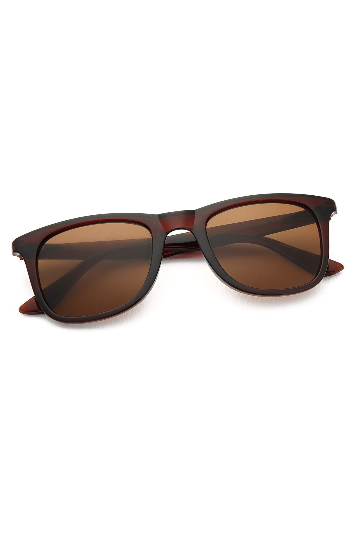 Aqua di Polo 1987 Brown Men's Sunglasses APSN001802