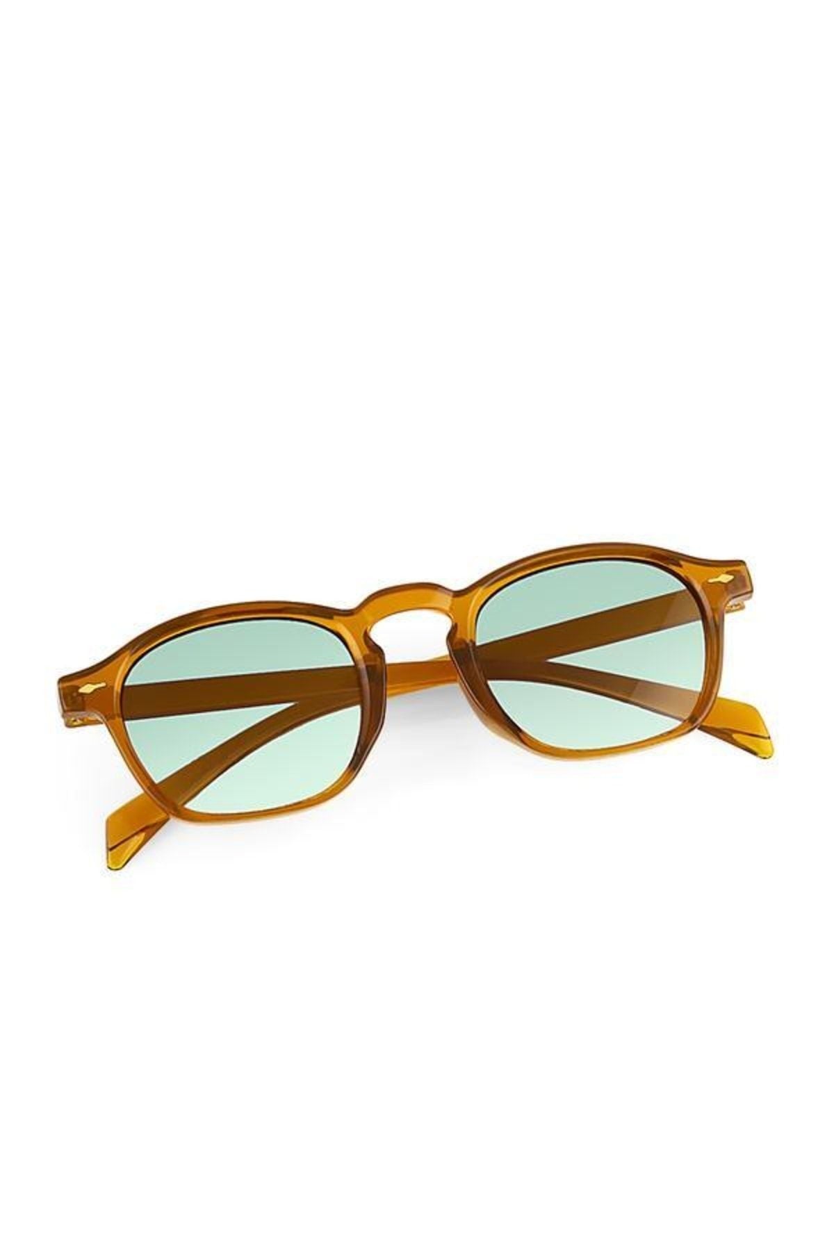 Aqua di Polo 1987 Brown Unisex Sunglasses APSI001304