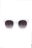 Aqua di Polo 1987 White Women's Sunglasses APSC003905