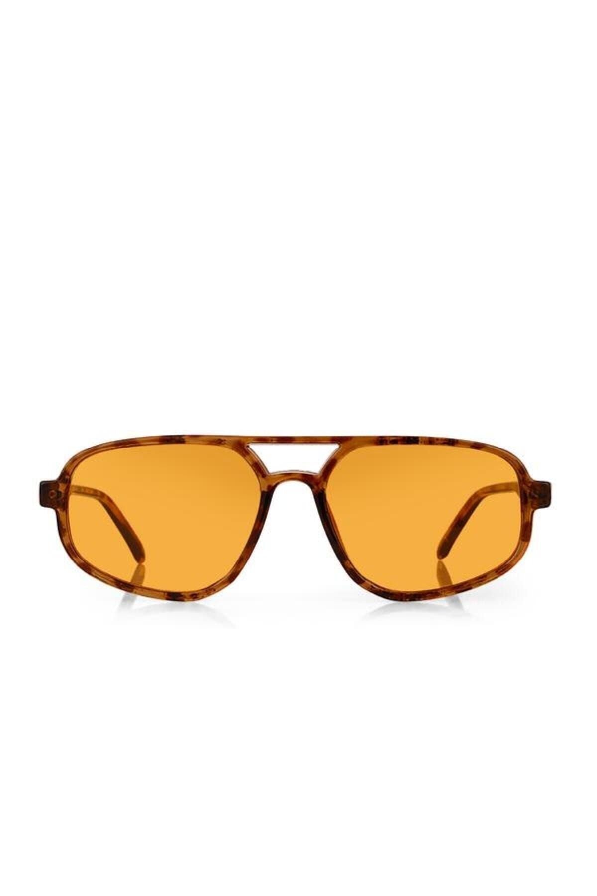 Aqua di Polo 1987 Brown Women's Sunglasses APSO000806