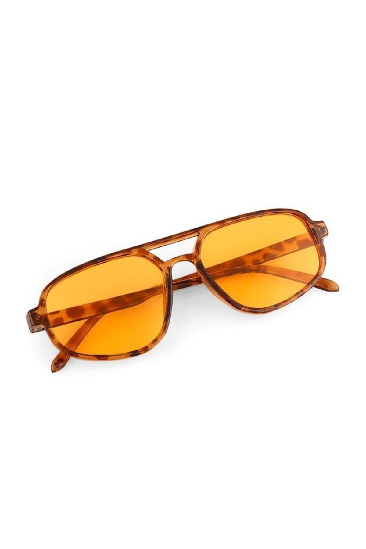 Aqua di Polo 1987 Brown Women's Sunglasses APSO000806