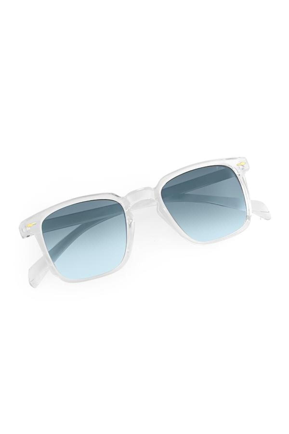 Aqua di Polo 1987 Blue Unisex Sunglasses APSI001903