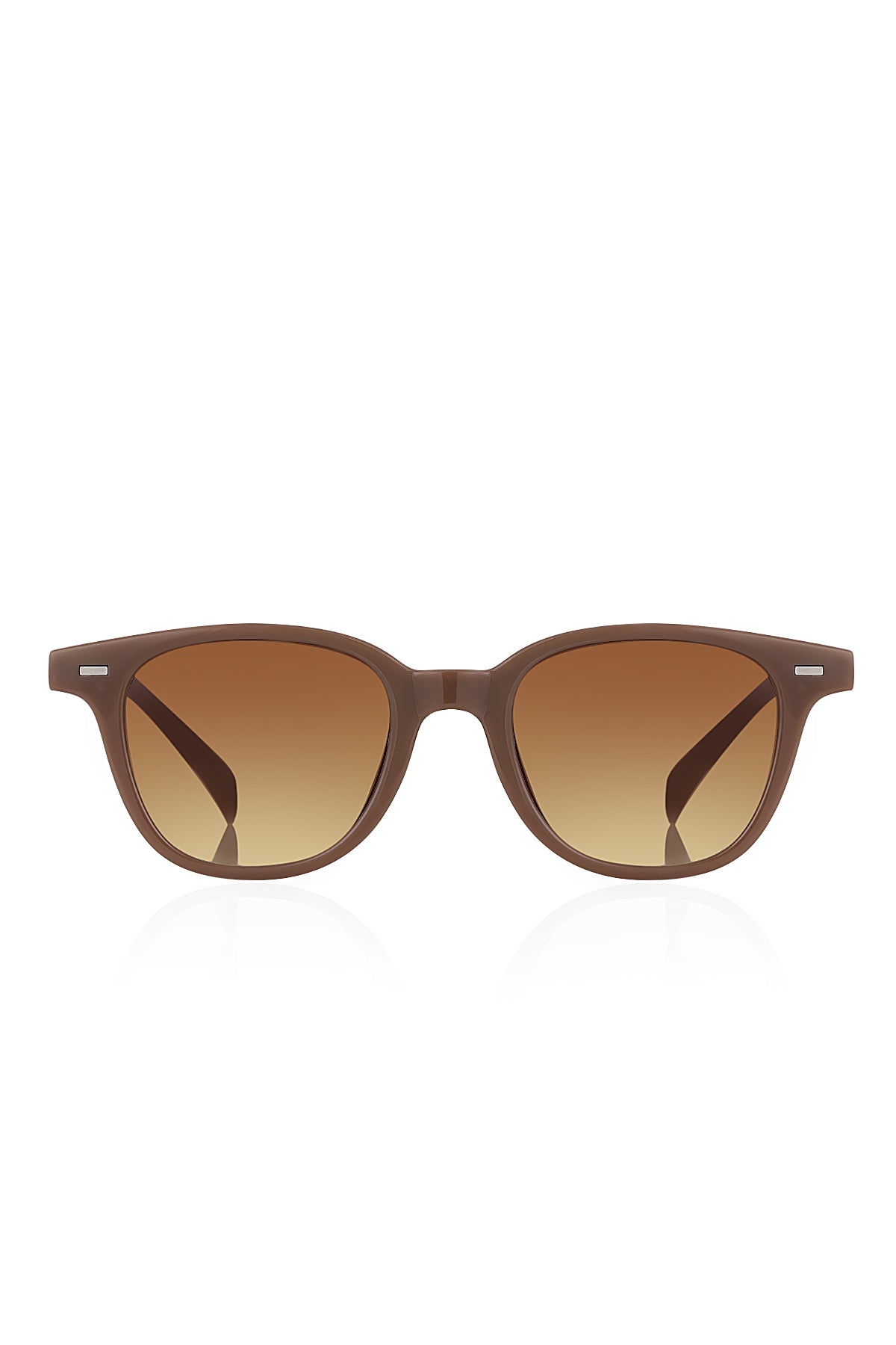 Aqua di Polo 1987 Brown Women's Sunglasses APSI002603