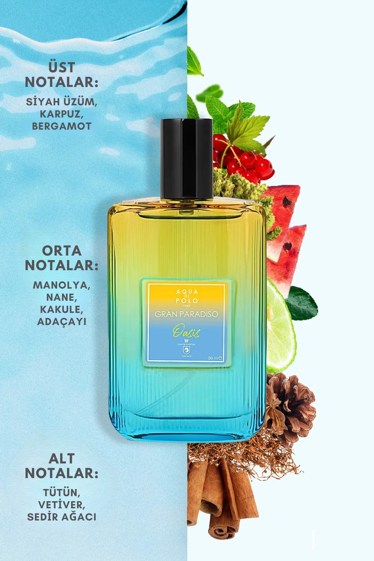 Aqua di Polo Gran Paradiso Oasis 50 Ml EDP Men's Perfume