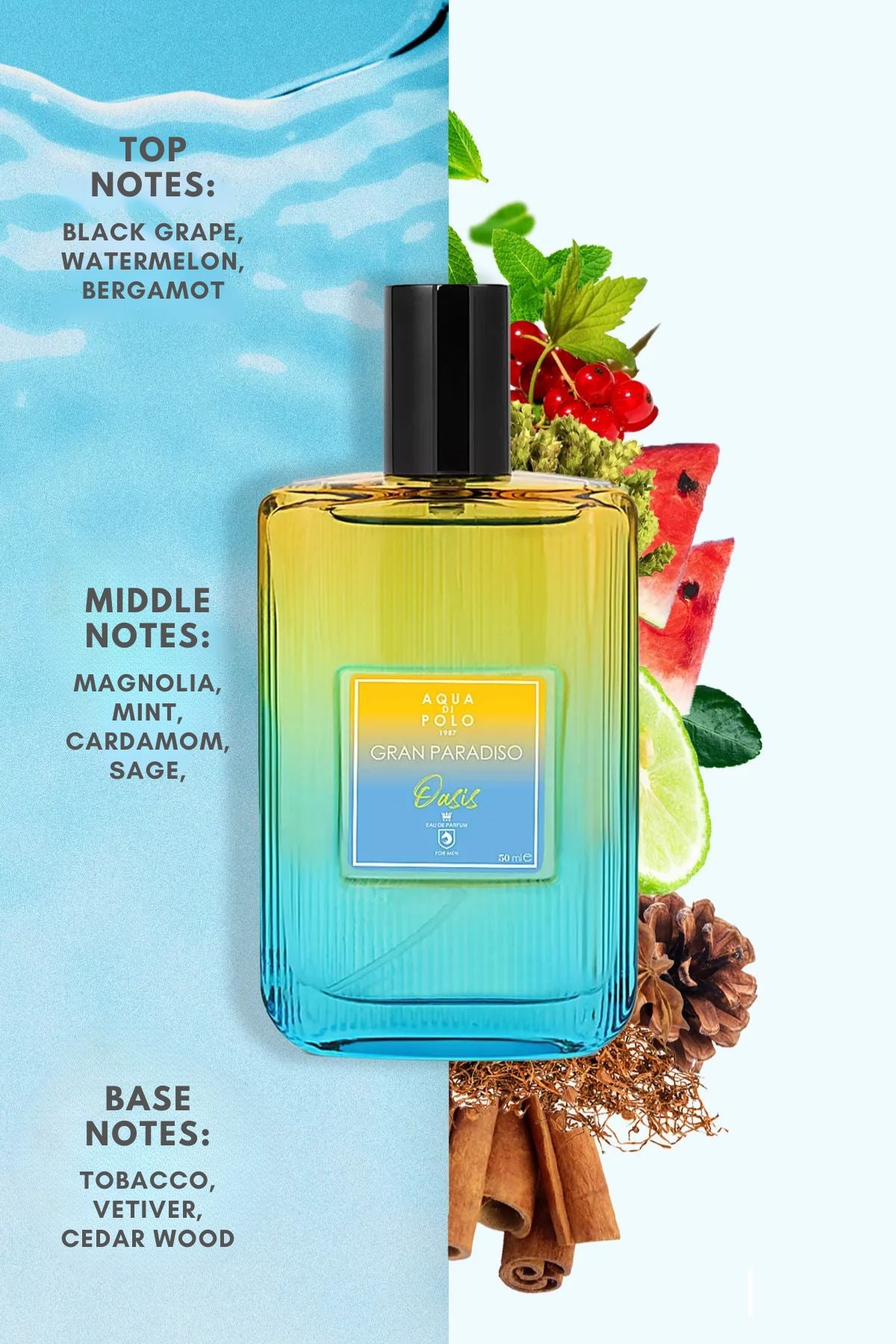 Aqua di Polo Gran Paradiso Oasis 50 Ml EDP Men's Perfume