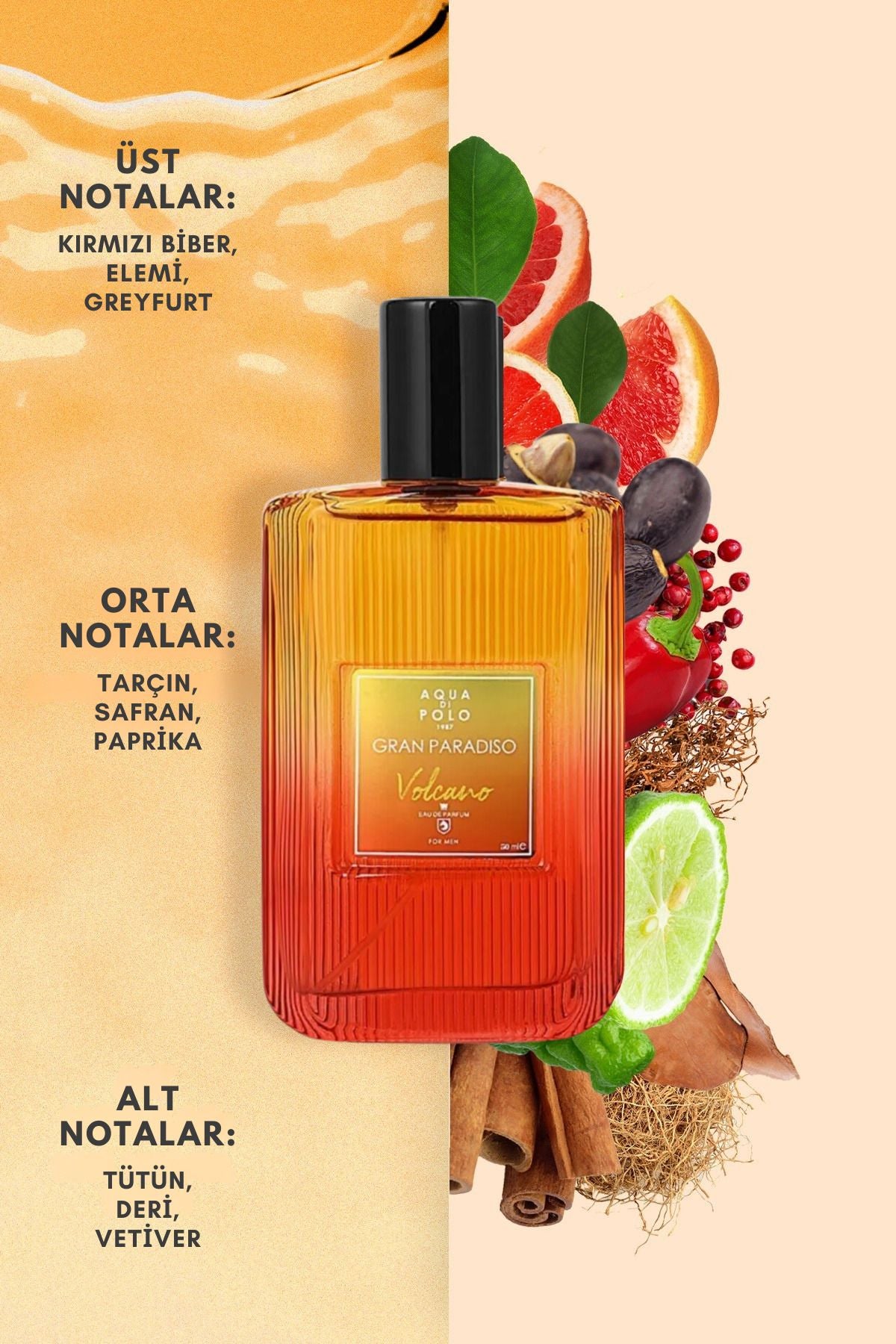 Aqua di Polo Gran Paradiso Volcano 50 Ml EDP Men's Perfume