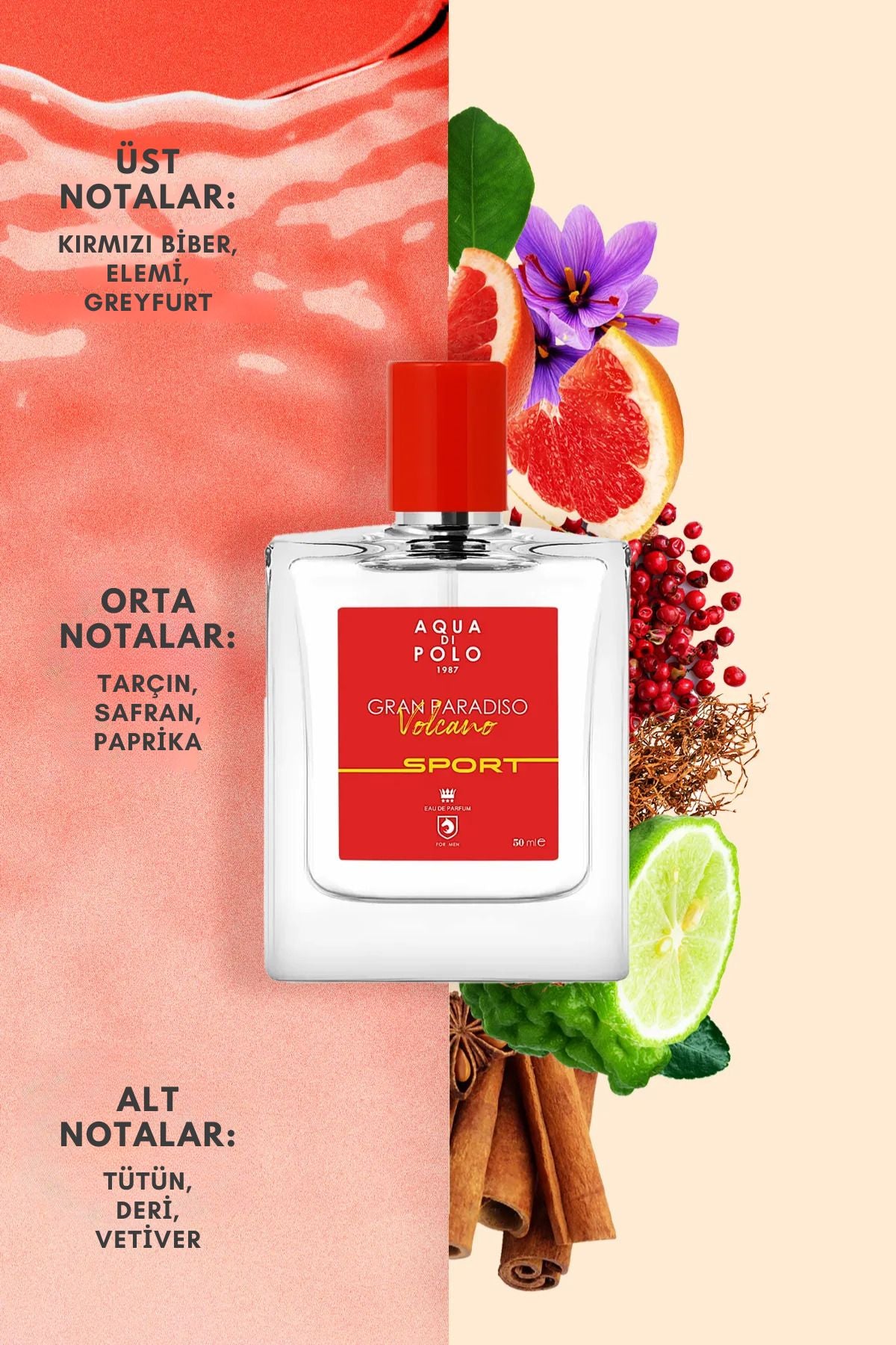 Aqua di Polo Gran Paradiso Volcano Sport 50 Ml EDP Men's Perfume
