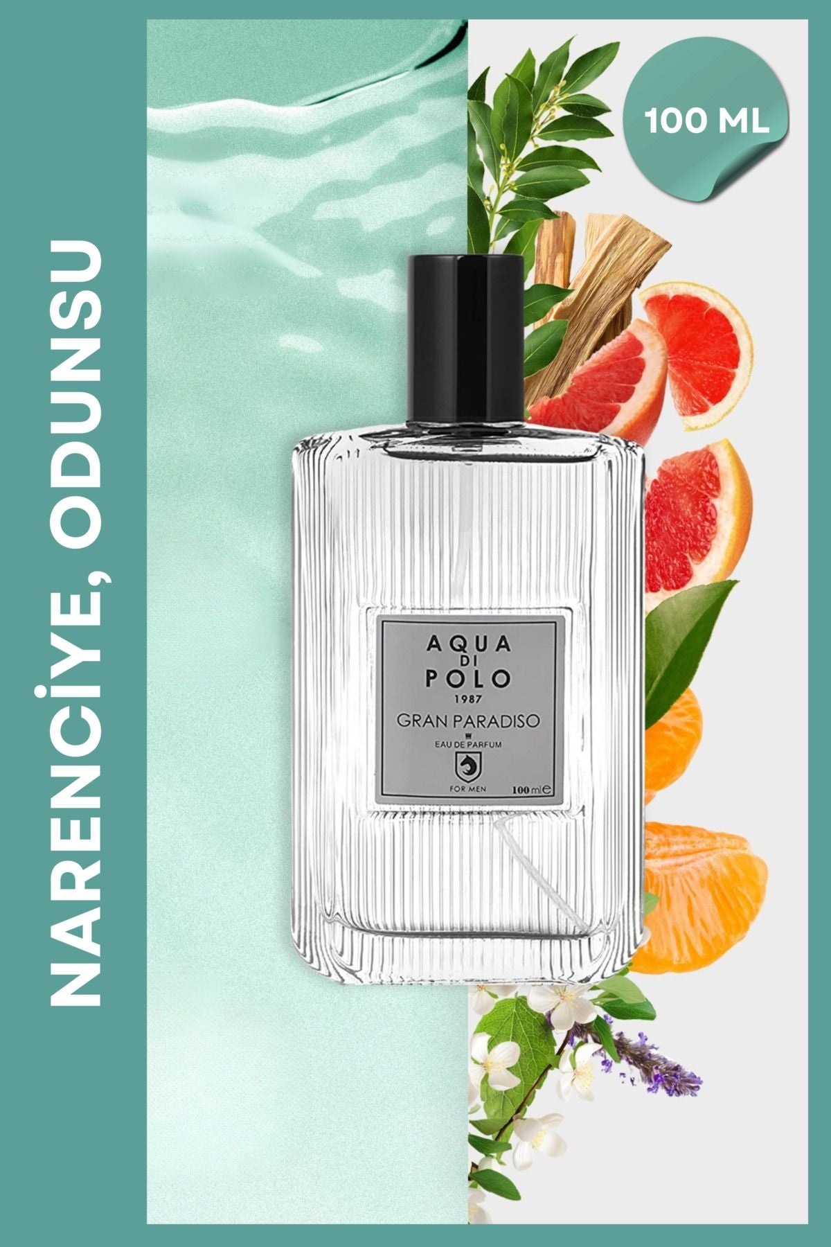 Aqua di Polo 1987 Gran Paradiso EDP 100 ml Men's Perfume APCN001801