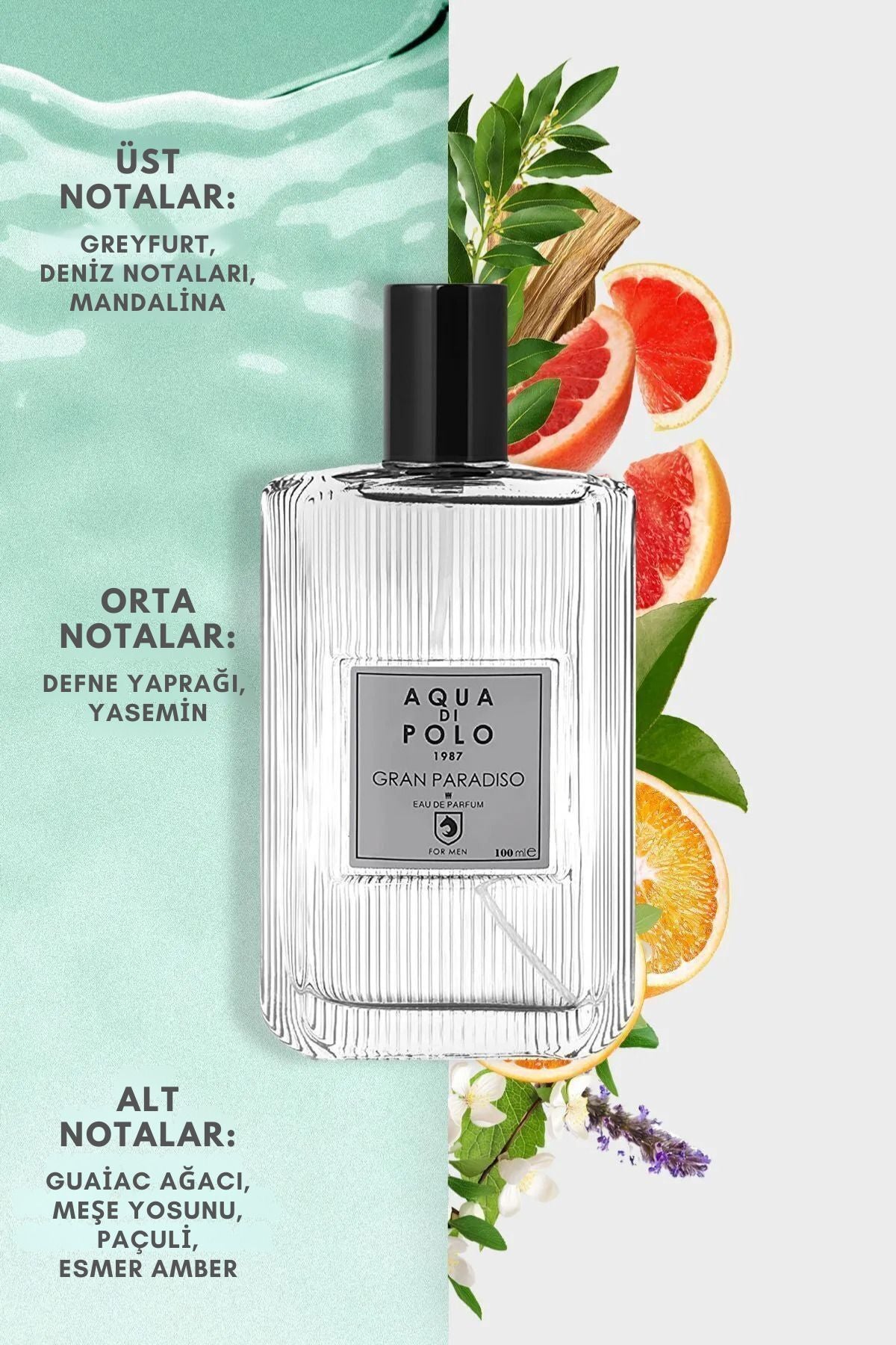Aqua di Polo 1987 Gran Paradiso EDP 100 ml Men's Perfume APCN001801