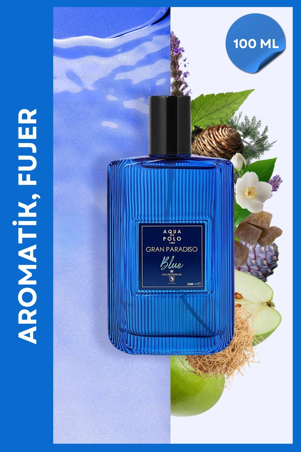 Aqua di Polo Gran Paradiso Blue 100 Ml EDP Men's Perfume