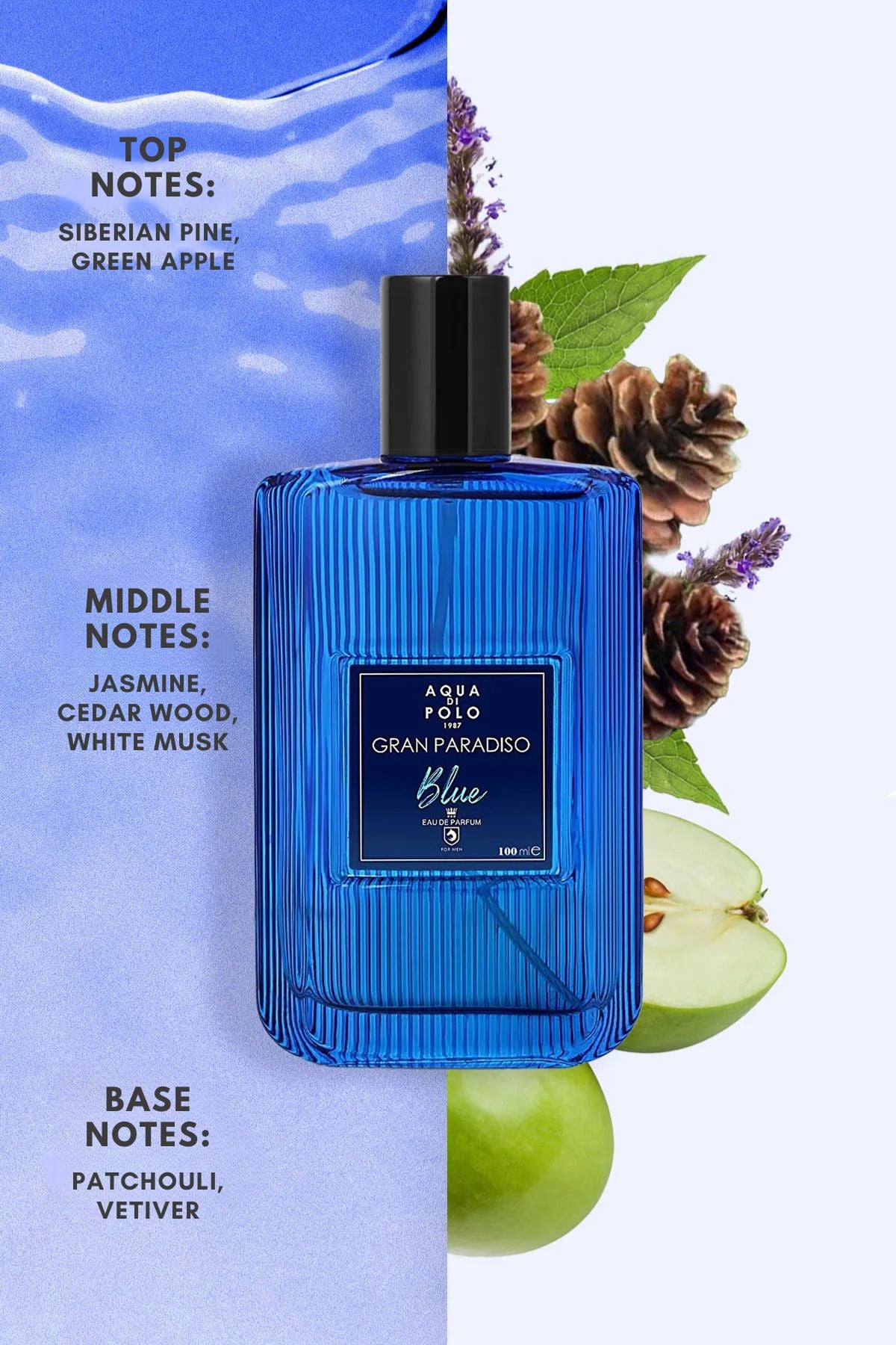 Aqua di Polo Gran Paradiso Blue 100 Ml EDP Men's Perfume