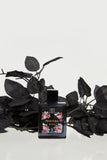 Aqua di Polo 1987 APCN003005 Fioritura Black EDP 50 ml Kadın Parfüm
