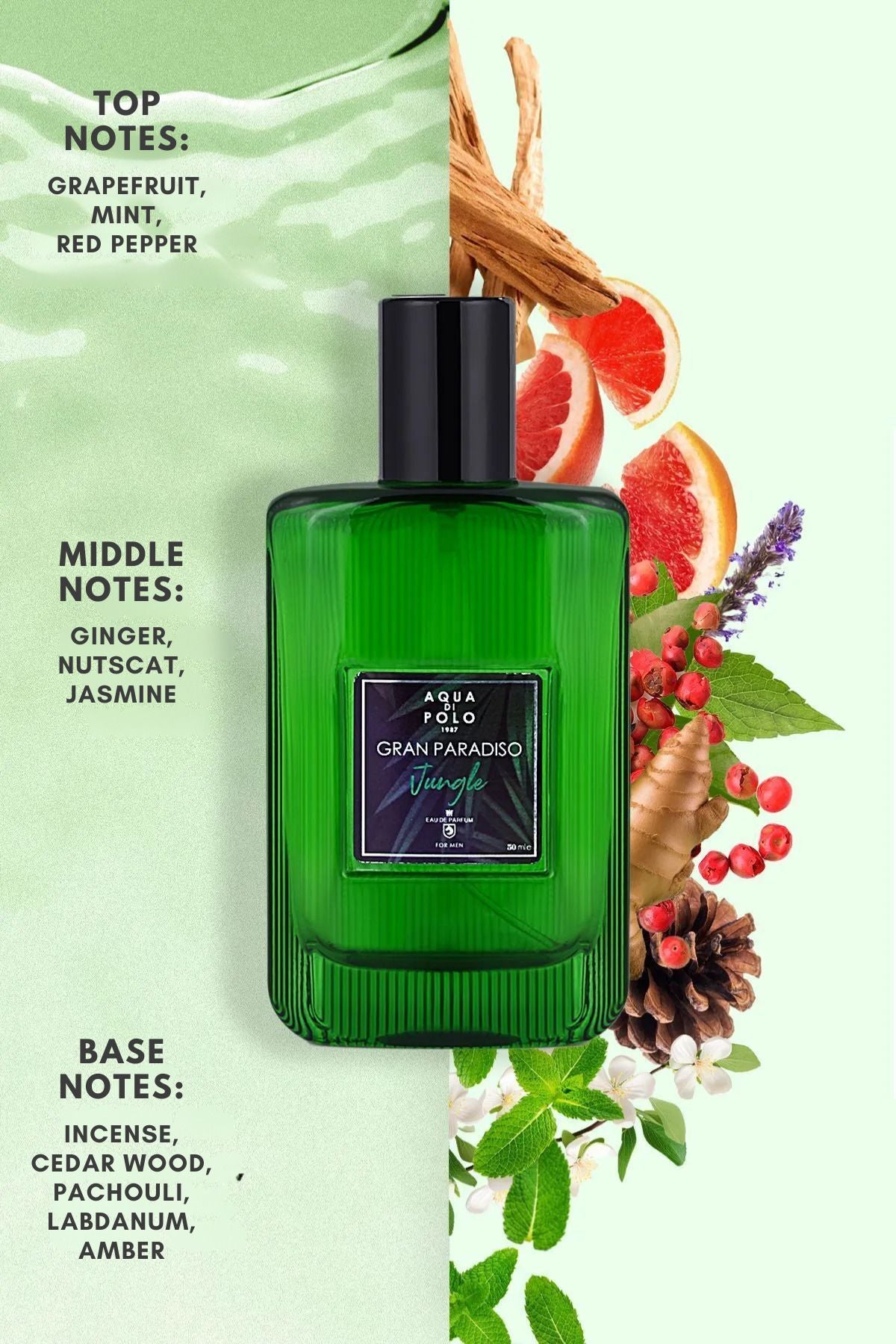 Aqua di Polo 1987 Gran Paradiso Jungle EDP 50 ml Men's Perfume APPPGJ03EP