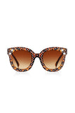 Aqua di Polo 1987 Brown Women's Sunglasses APSC003904