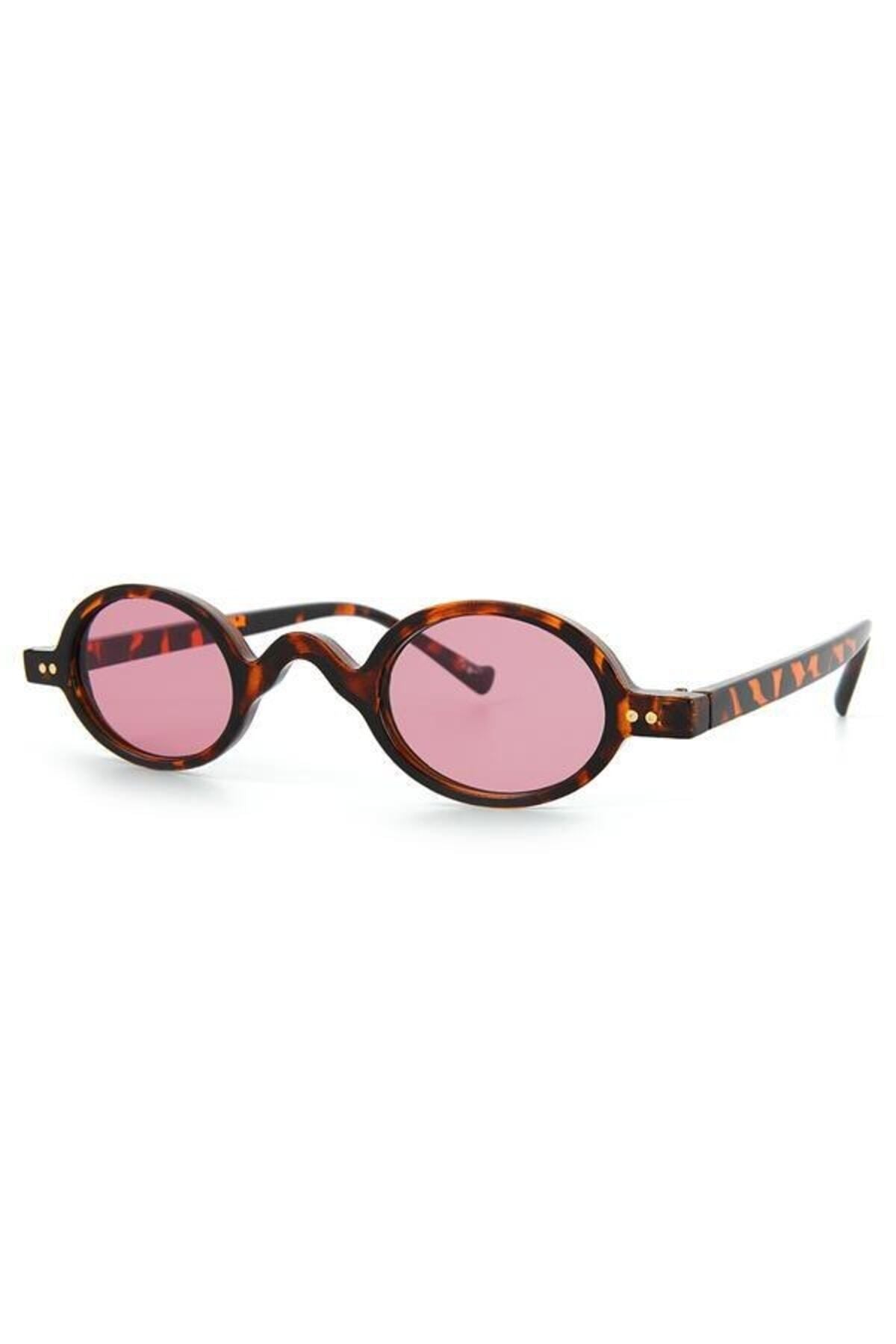 Aqua di Polo 1987 Brown Women's Sunglasses APSD001491