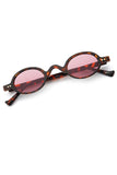 Aqua di Polo 1987 Brown Women's Sunglasses APSD001491