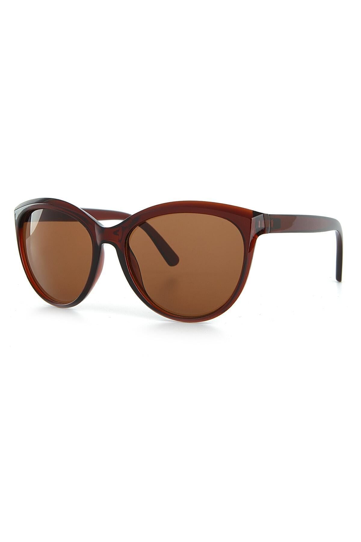 Aqua di Polo 1987 Brown Cat Eye Women's Sunglasses APSN001402