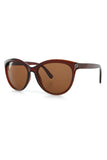 Aqua di Polo 1987 Brown Cat Eye Women's Sunglasses APSN001402