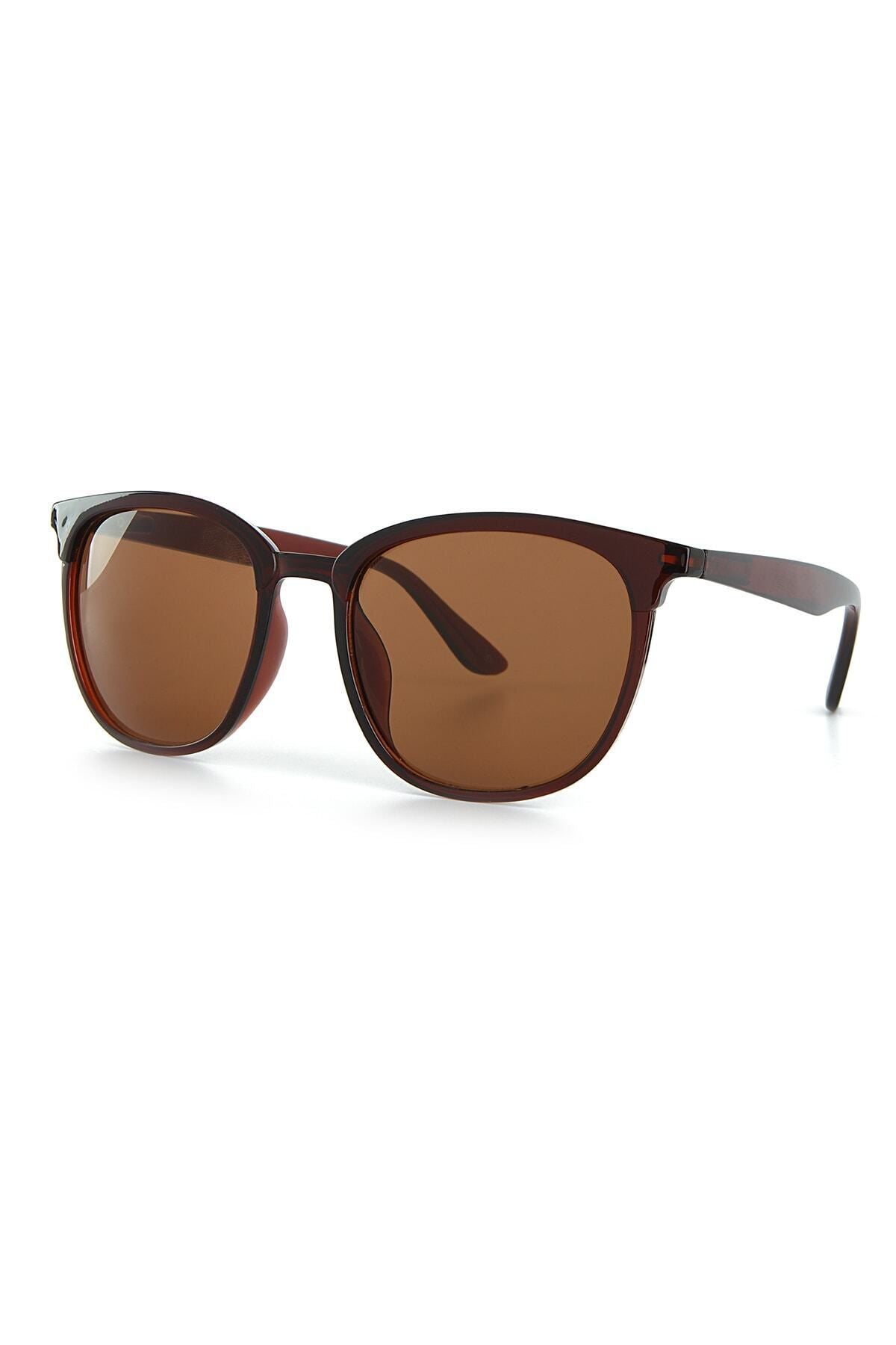 Aqua di Polo 1987 Brown Unisex Sunglasses APSN001602
