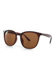Aqua di Polo 1987 Brown Unisex Sunglasses APSN001602