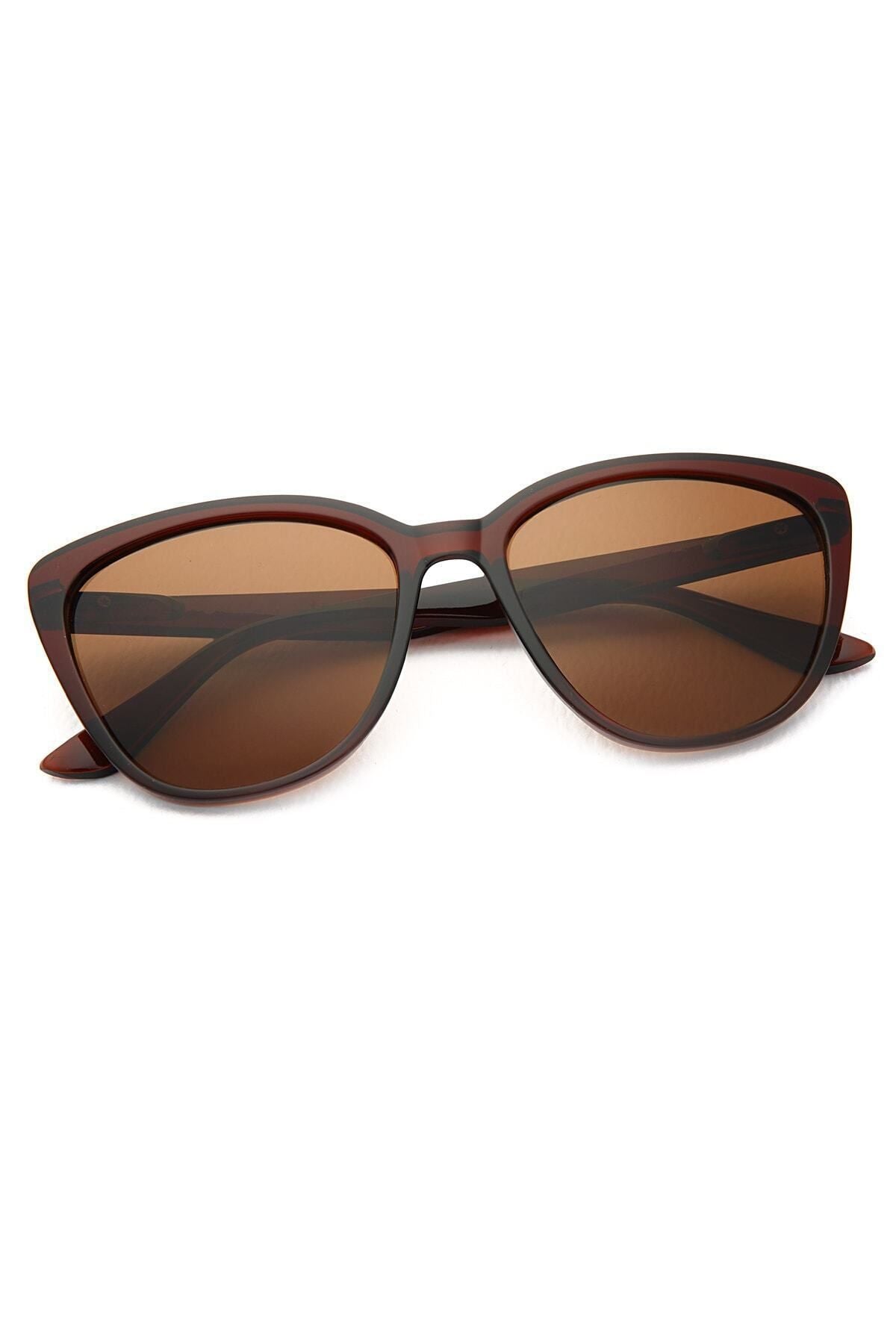 Aqua di Polo 1987 Brown Cat Eye Women's Sunglasses APSN001702