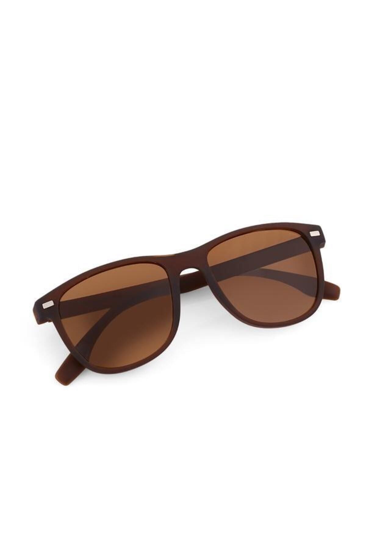 Aqua di Polo 1987 Brown Unisex Sunglasses APSN009602