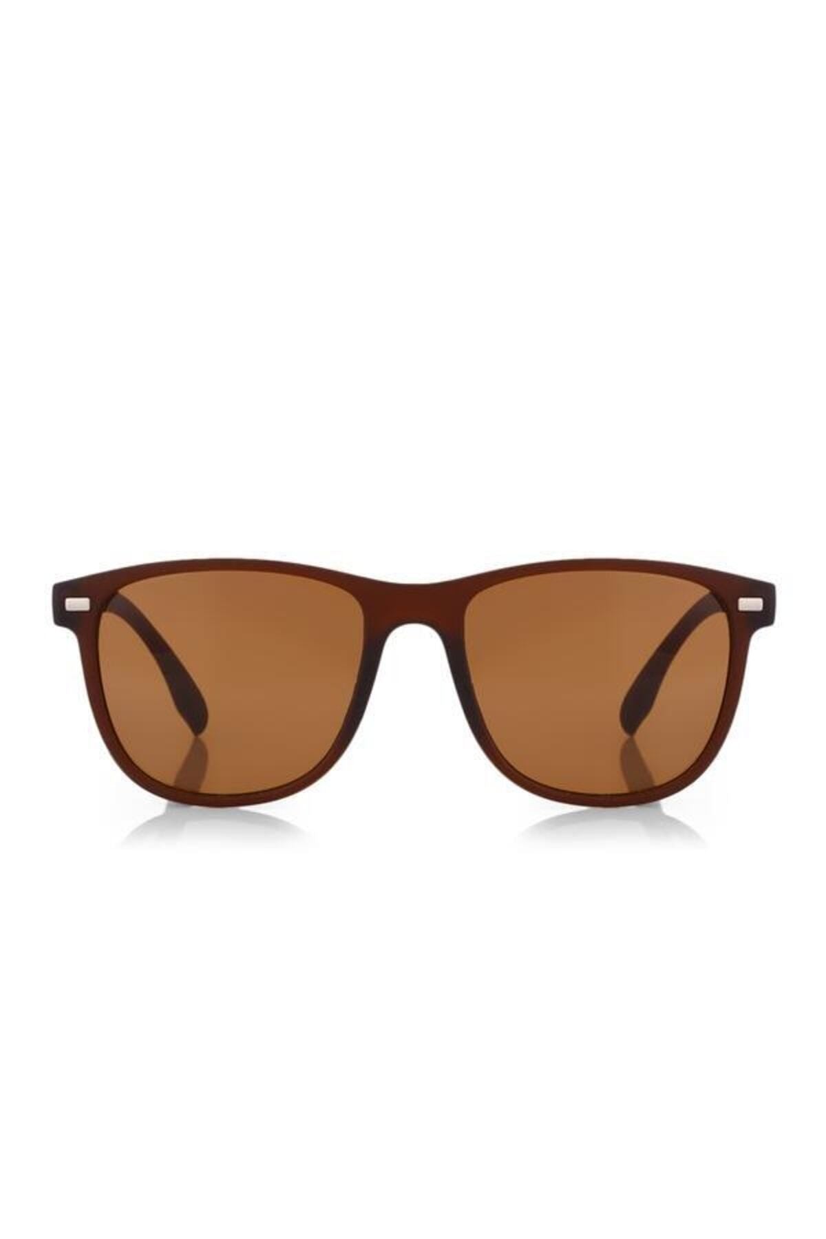 Aqua di Polo 1987 Brown Unisex Sunglasses APSN009602