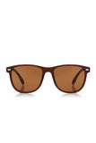Aqua di Polo 1987 Brown Unisex Sunglasses APSN009602