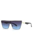 Aqua di Polo 1987 Silver Women's Sunglasses APSS067332